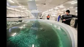 RAS short video