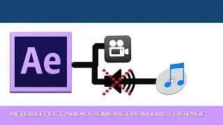 How to Remove audio in After effects