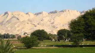 Latidos de Africa I - Oásis de Egipto (ver en HD)