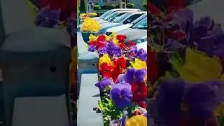 Пять причин полюбить Кисловодск #кисловодск #любовь