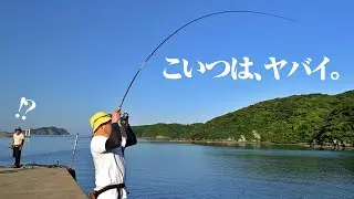 いとも簡単に起きる奇跡みたいな釣果。発表されたばかりのリールを試しに島に渡ったら…非日常の連続だった件。[24ルビアスで10魚種チャレンジ]