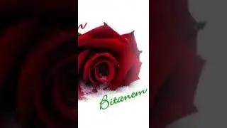 Bitanem
