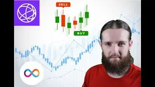 The Daily Reload - Market Analysis