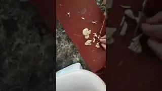 Кері байланыс  көркем еңбек пәнінен "салат" дайындау