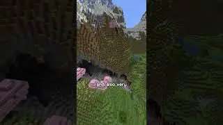 The Most beautiful Minecraft seed
