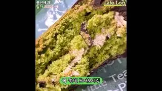 우리밀 말차 초코파이 전주 원조 맛집 #풍년제과 #초코파이 #말차 #말차초코파이 #맛집