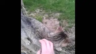 Making Friends At Work