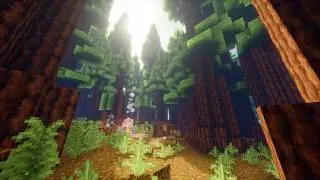 2 Hours of Relaxing Minecraft Music (Forest)