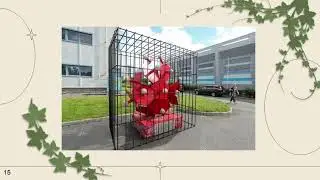 Медицина и фармация Петербурга сквозь время