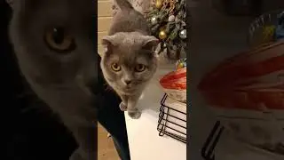 ЯНВАРЬ