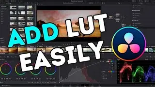 How to Add LUT in DaVinci Resolve 2025?