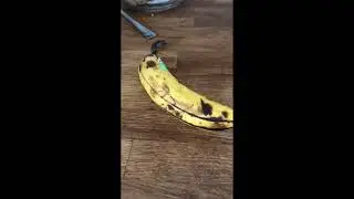 It’s a bananana😆😆😆