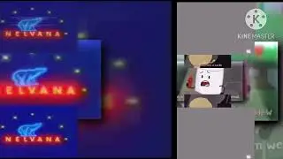 33 scans with are slides