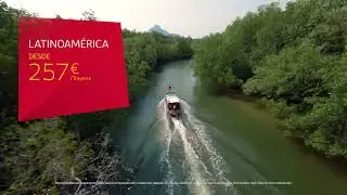 Vuela, vuela al mejor precio