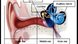 Learn how some people are regaining hearing using an alternative treatment. FCR