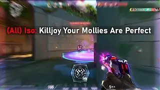 Perfect Killjoy Mollies = Angry Duelists 👑