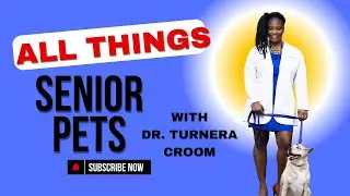 Compassion for Senior Pets & Their Owners  Providing Holistic Support   Dr  Turnera Croom