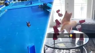 memes that send me to the 4th dimension