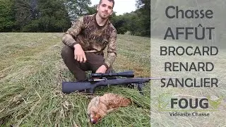 CHASSE du RENARD et BROCARD + SANGLIER à l’affut - Ep 1