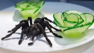 ТОП 5 САМЫХ ОПАСНЫХ БЛЮД НА ПЛАНЕТЕ 🌎
