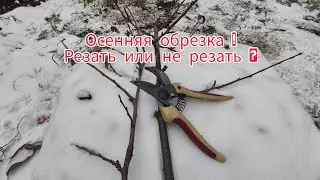 Осенняя обрезка сада! Стоит ли делать? Если да , то как?!