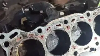 démontage moteur Benelli tnt 600 part 2