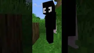 Most cursed Minecraft Texture Pack... 