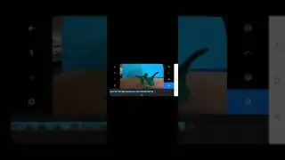 animacie