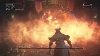 Bloodborne™_20170513205750