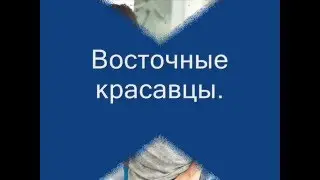 Восточные красавцы