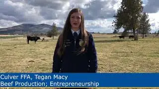Beef Production Entreprenuership Tegan Macy