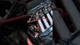 Micra K11 motor running our danST ITB's and engine management package, making 148bhp on the Dyno!!