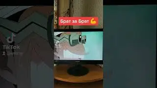 Мугивары и их дружба великолепны ❤️ (Реакция на Ван-Пис)
