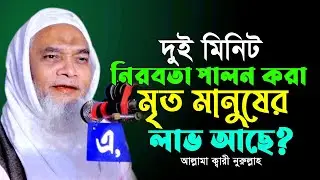 নীরবতা পালন করলে কি? মৃত ব্যক্তির কোন লাব আছে? আল্লামা ক্বারী নুরুল্লাহ Allama Qari Nurullah New Waz
