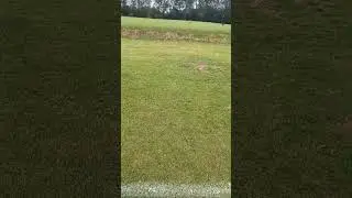 Long one