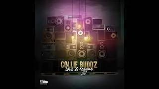 Collie Buddz - Love & Reggae