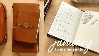 this is how the first month in my 2024 analog system went ✸ january in my journals