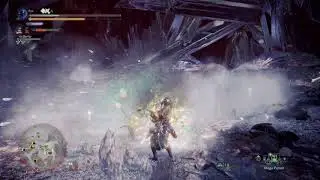 Monster Hunter World: Iceborne Killed & Healed