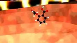 Aspirin Absorption