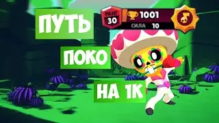КАК АПНУТЬ ПОКО НА 1000 КУБКОВ В СОЛО ШД |30 РАНГ ПОКО В СОЛО ШД | ПЕРЕЗАЛИВ