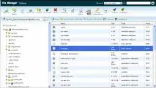 Protecting the .htaccess File