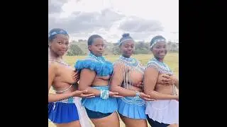 How Animals Play a Role in African Traditions