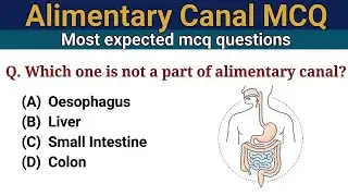 Biology MCQ 2024 | Alimentary Canal MCQ | For Competitive Exams | NEET BHU TGT PGT