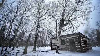 snowy woods background.