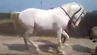 Karaçor Harika bir Görüntü