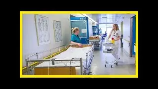 Vaktavinna algengari á íslandi