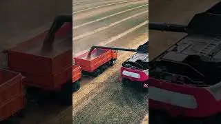 Комбайны Ростсельмаш в поле