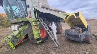 окончание уборочной 2021г.уборка сои и перегон.claas tucano 580