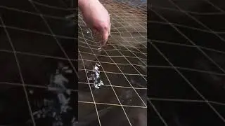 Ловля сома на живца🤣