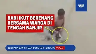 BABI Berenang Ditengah BANJIR PAPUA Jadi Tontonan Warga